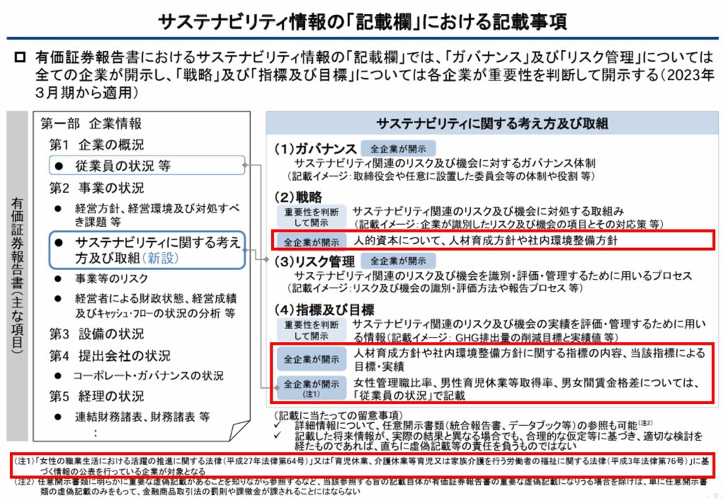 サステナビリティ情報の記載欄の新設などの改正について解説資料（金融庁）